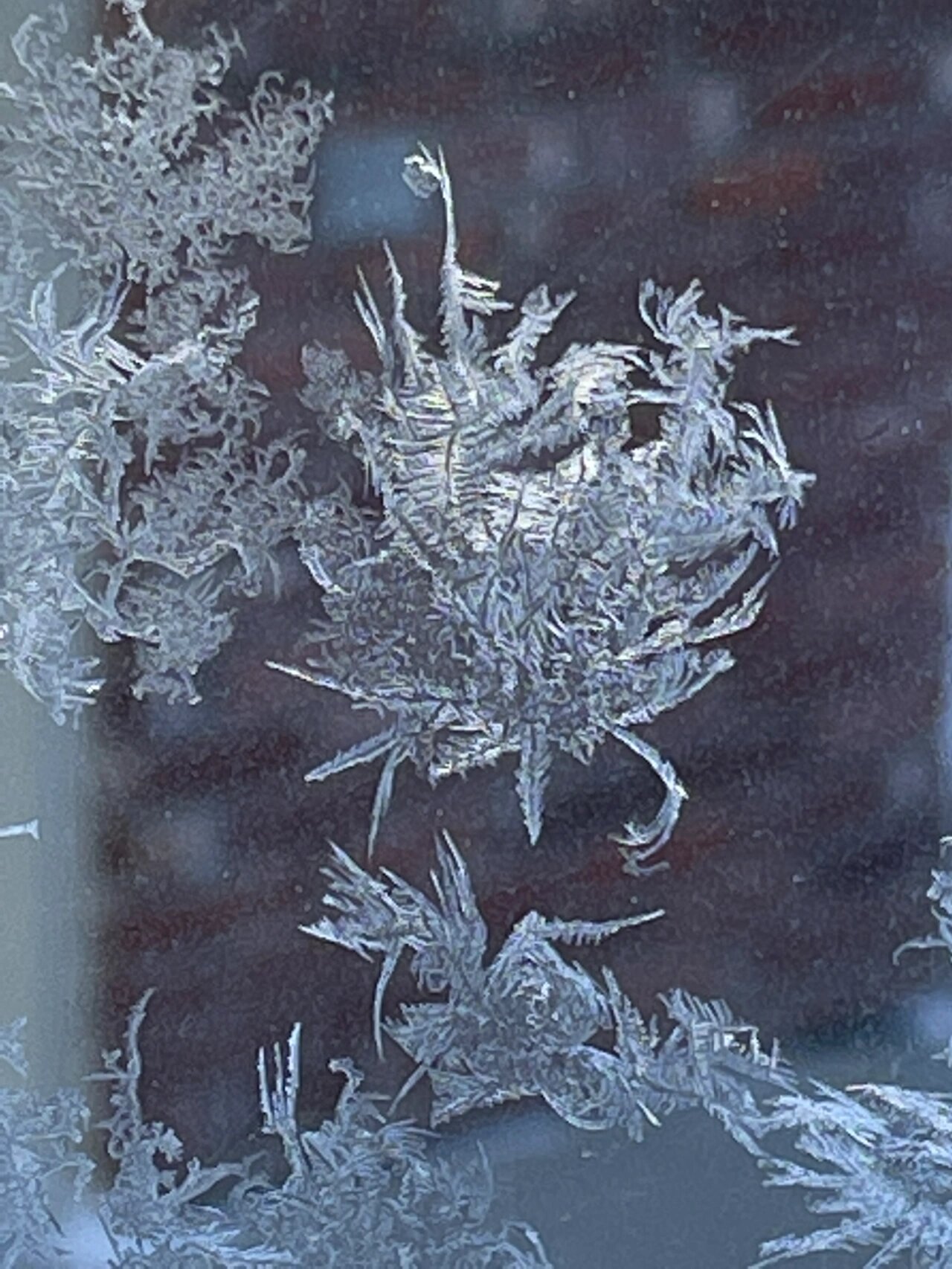 的气温低到-25～-28度,今天上午拉开窗帘时看到窗玻璃上的冰花好漂亮