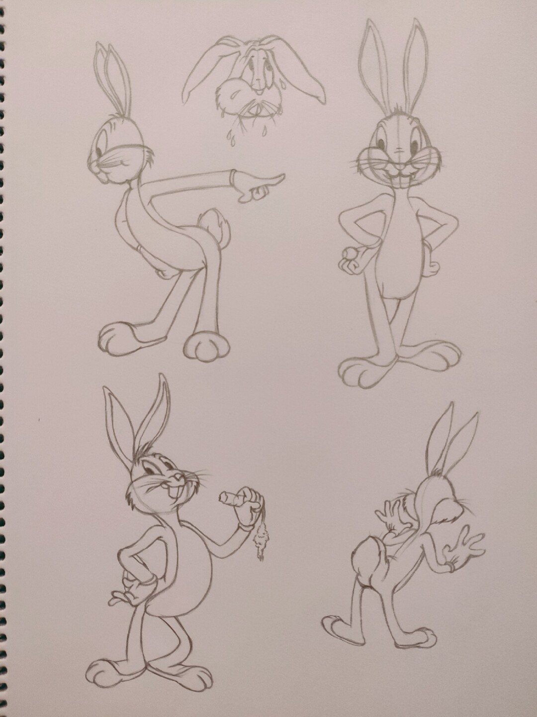 临摹动画大师作品 可爱哒兔八哥 #简笔画教程