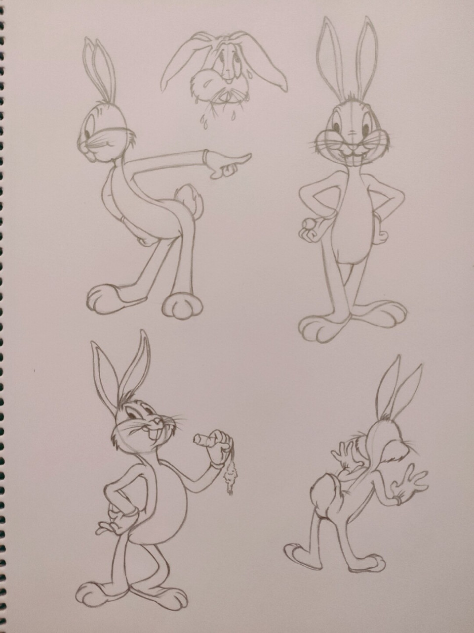 临摹动画大师作品 可爱哒兔八哥 #简笔画教程