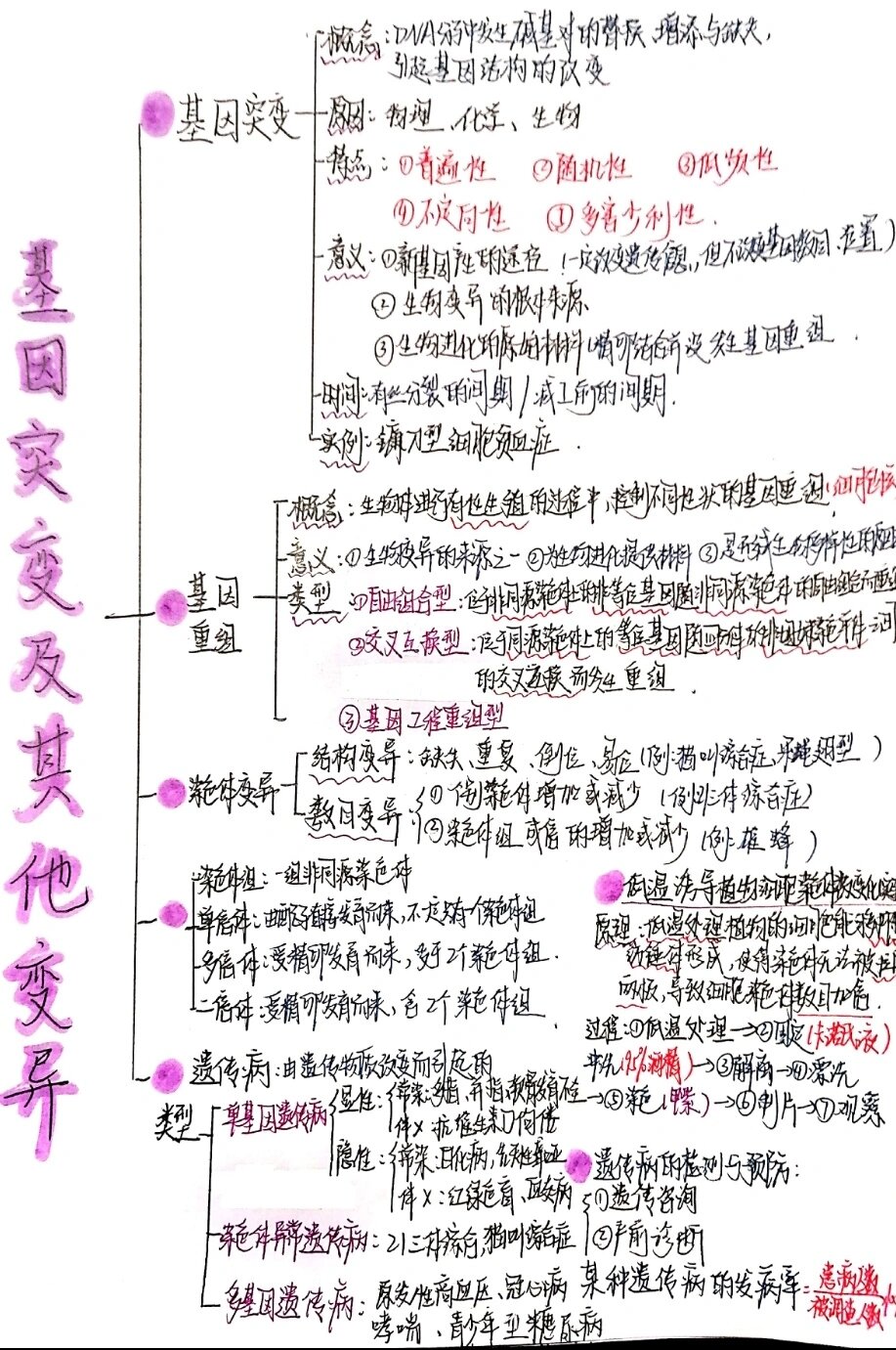 必修二生物 基因突变及其他变异