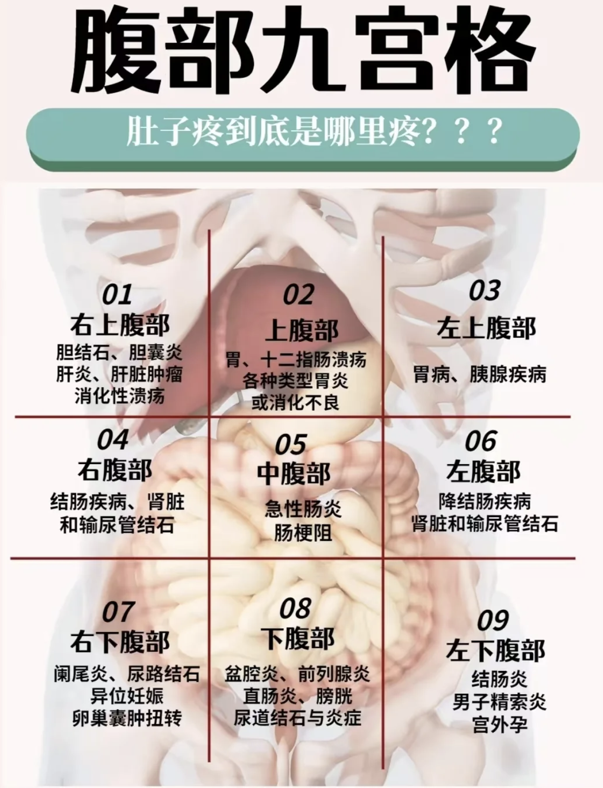小腹上面疼是什么原因引起的?