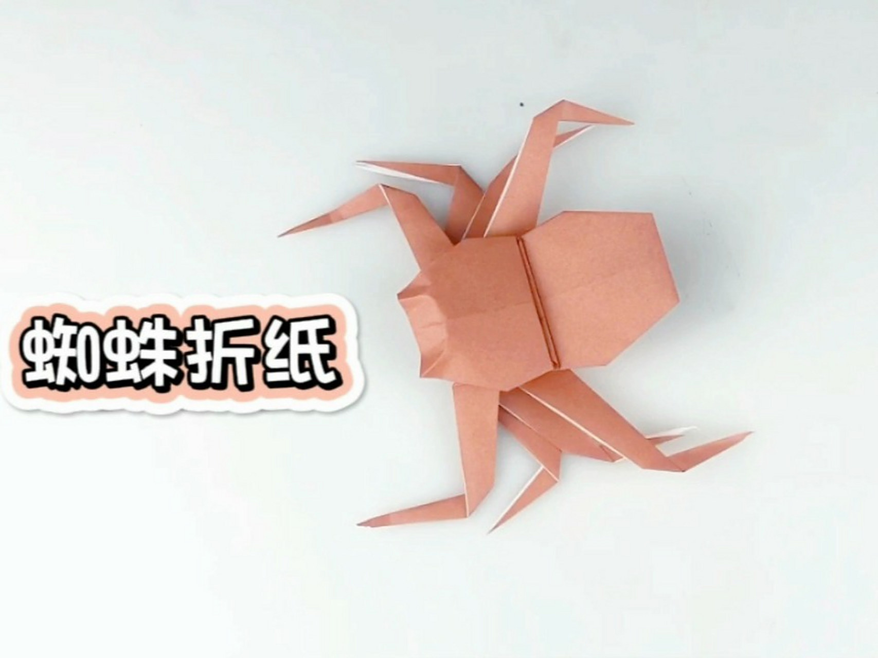 蜘蛛折纸|简单有趣创意手工diy折纸教程