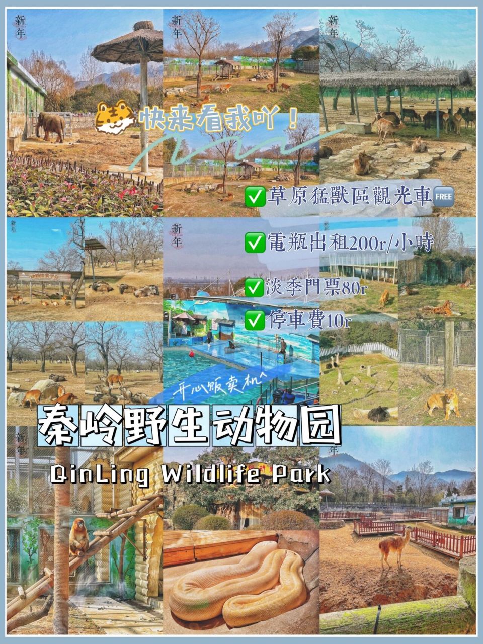 西安|秦岭野生动物园一日轻松游览攻略get73 动物园"搬家"后我第一