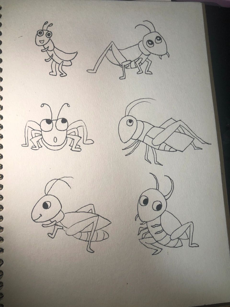 蚂蚱怎么画 简单图片