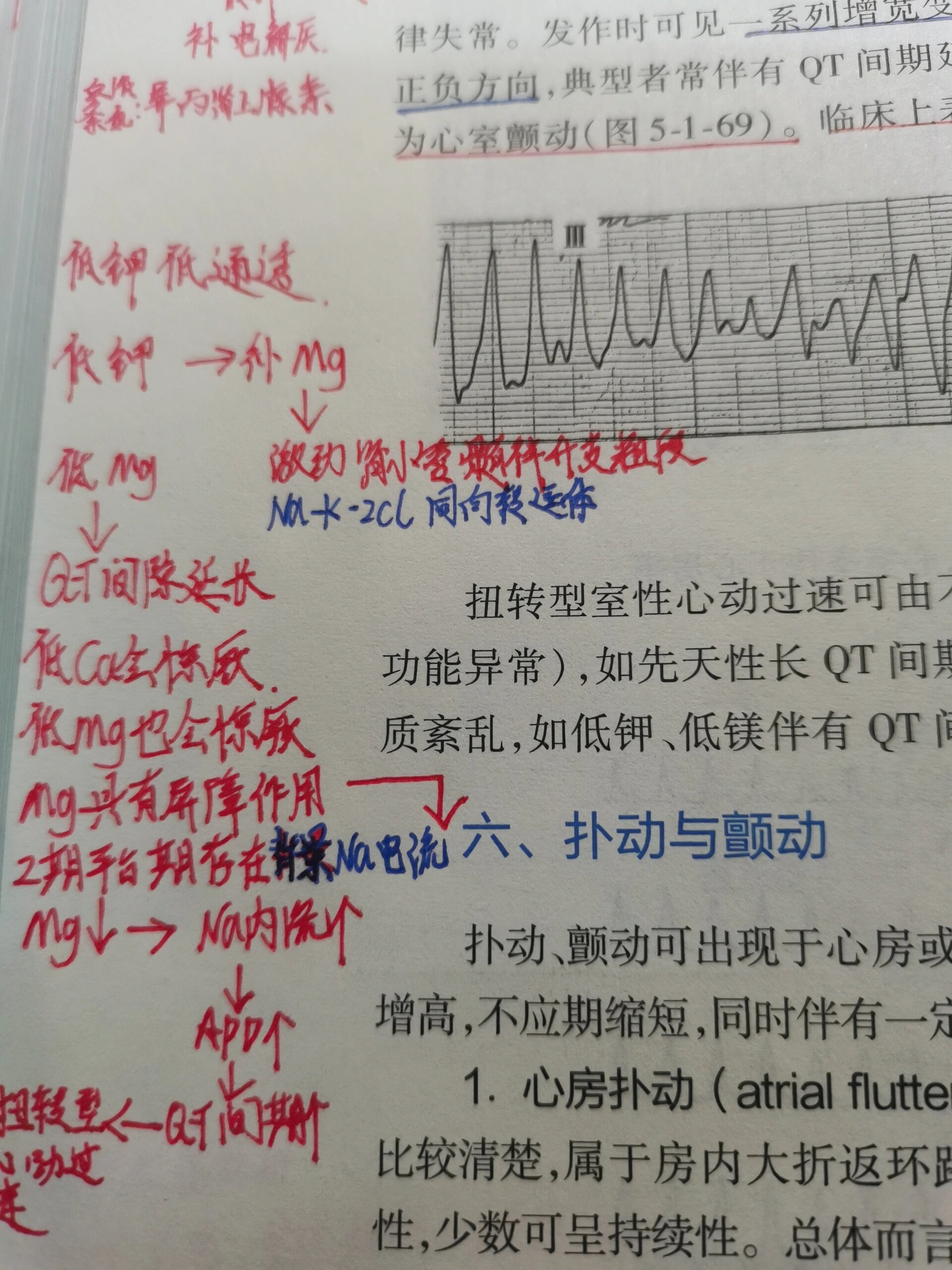 镁的离子结构示意图图片