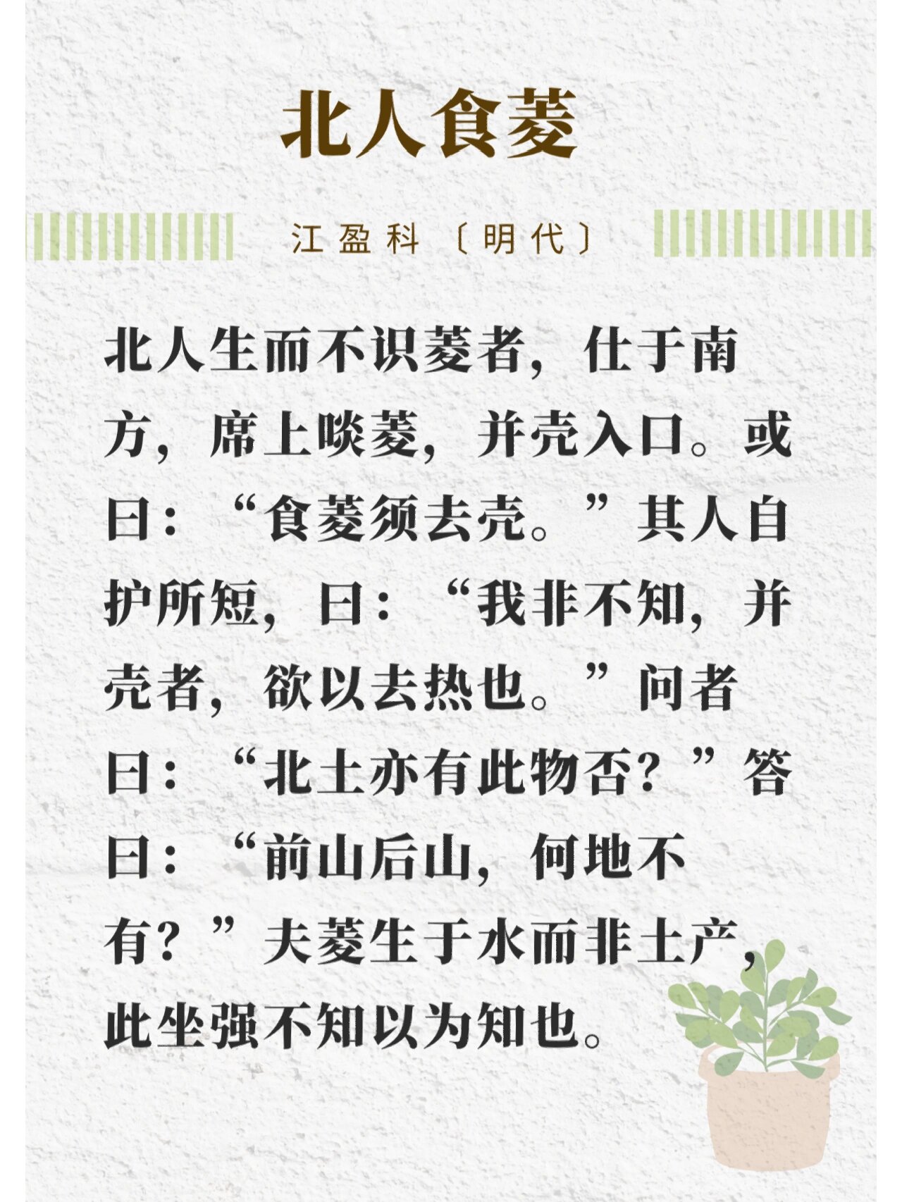 周日小古文《北人食菱》