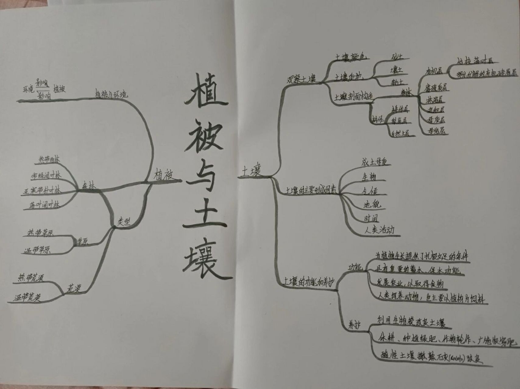 高一地理～思维导图 高中地理必修一第五章《植被与土壤》思维导图