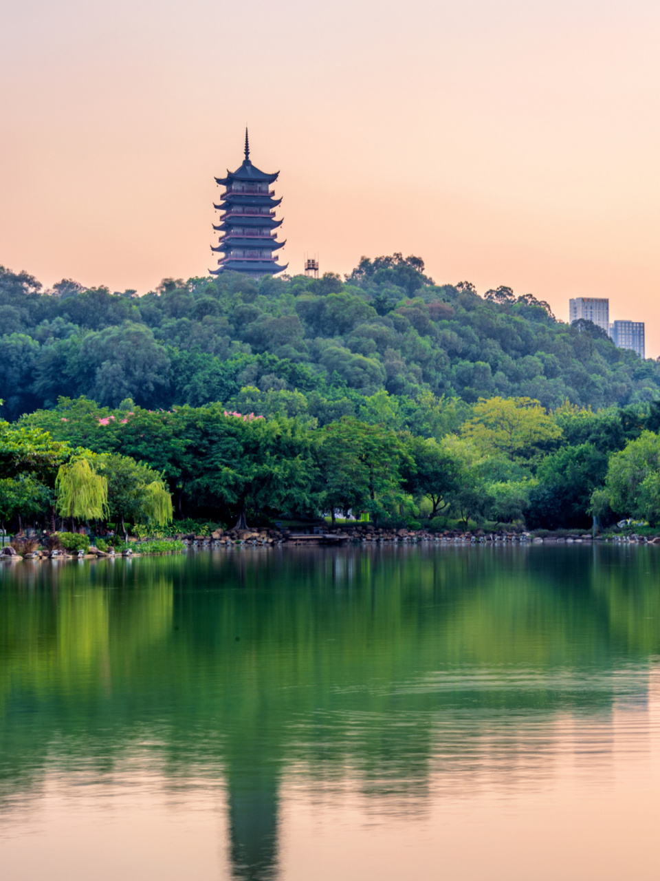 99| 地点:广东省佛山市南海区桂城街道千灯湖公园