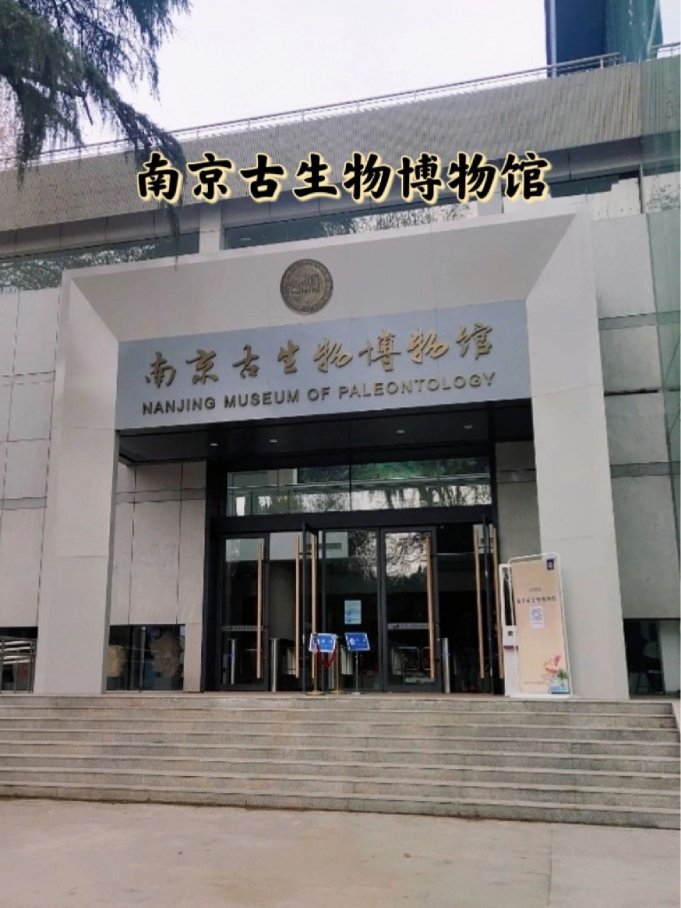 南京|看物种演变的古生物博物馆78 95世界上最大的古生物专业博物