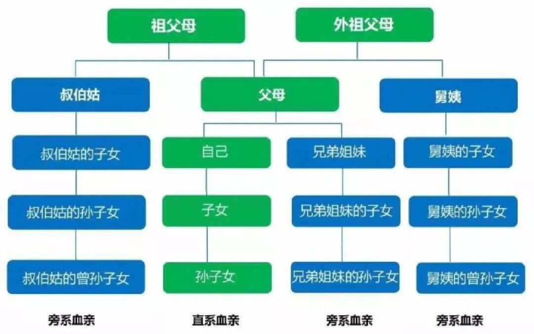 三代旁系图片