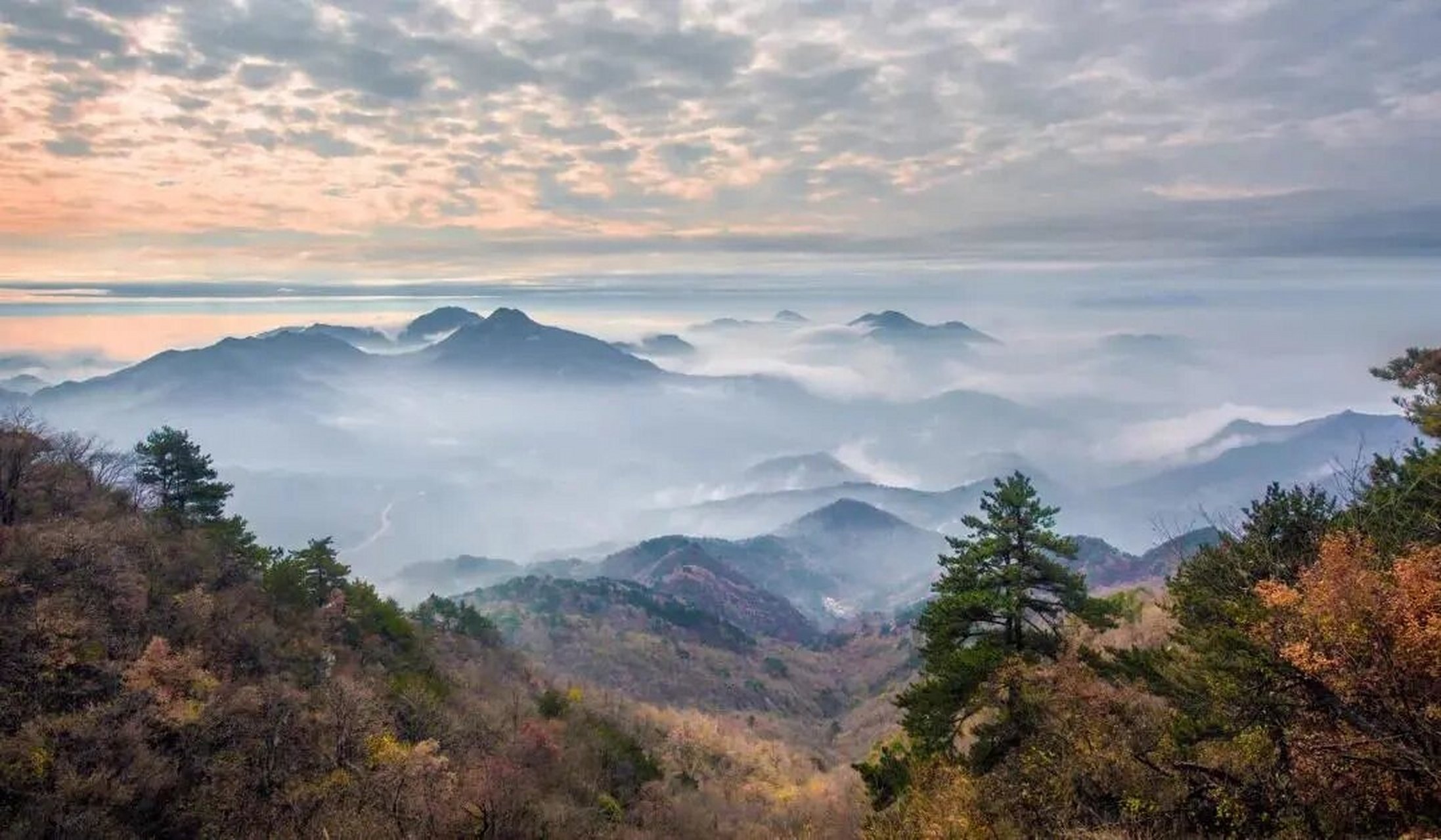 游玩景点 黄柏山国家森林公园:国家4a级景区,三省交界处 狮子峰:有360