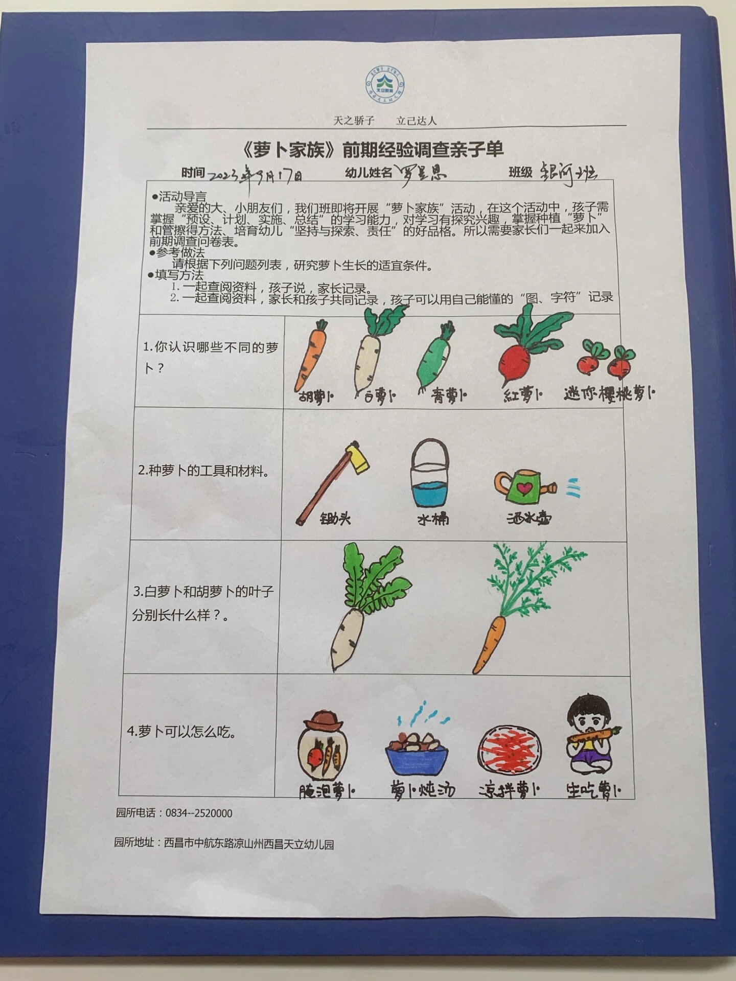 幼儿园作业-萝卜调查表