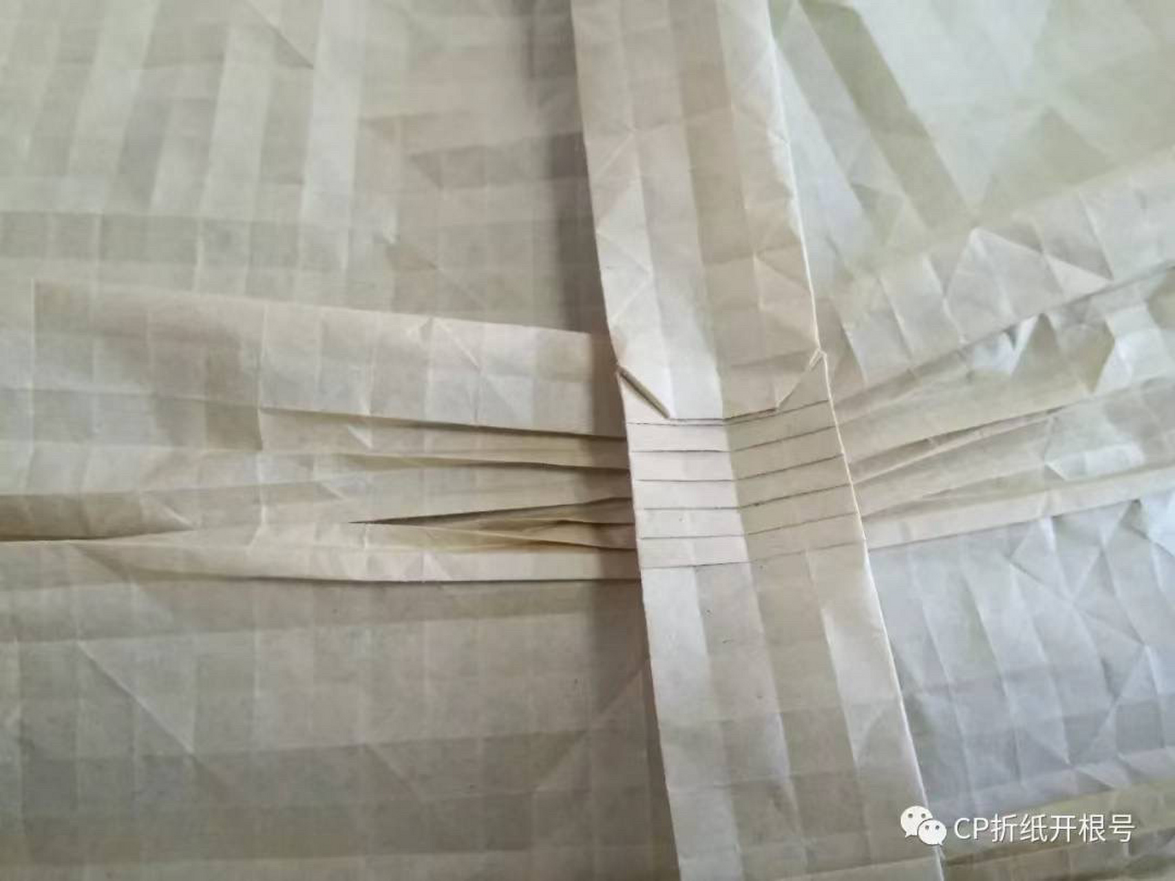 cp折纸开根号 高山 蝉cp的解读2