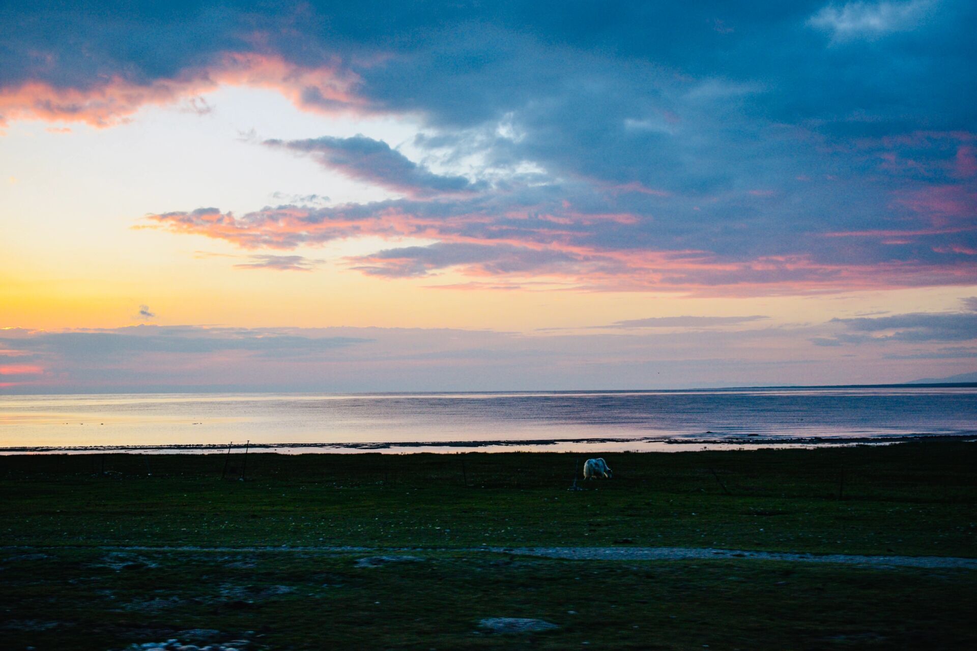 穿越祁连山9015最美公路 强推天默公路,茶默公路,尕小公路 详细