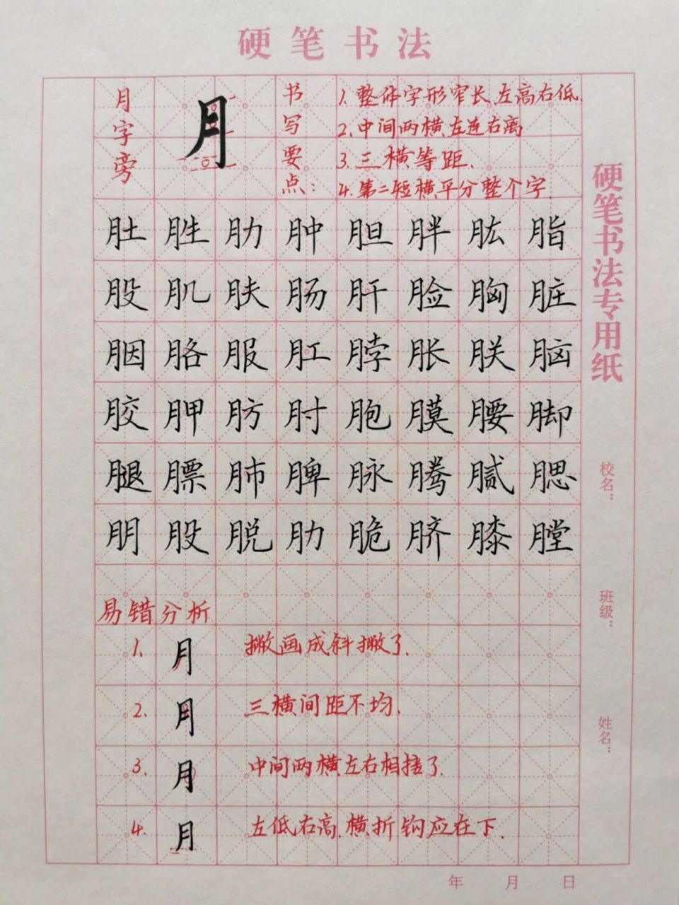 月字旁的写法: 1.形窄长,撇为竖撇,竖挺直. 2.三横间距相等. 3.