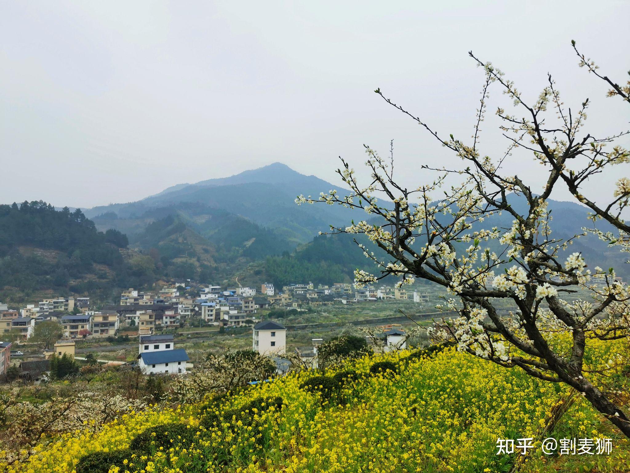 广东省乐昌市九峰镇赏桃花之旅