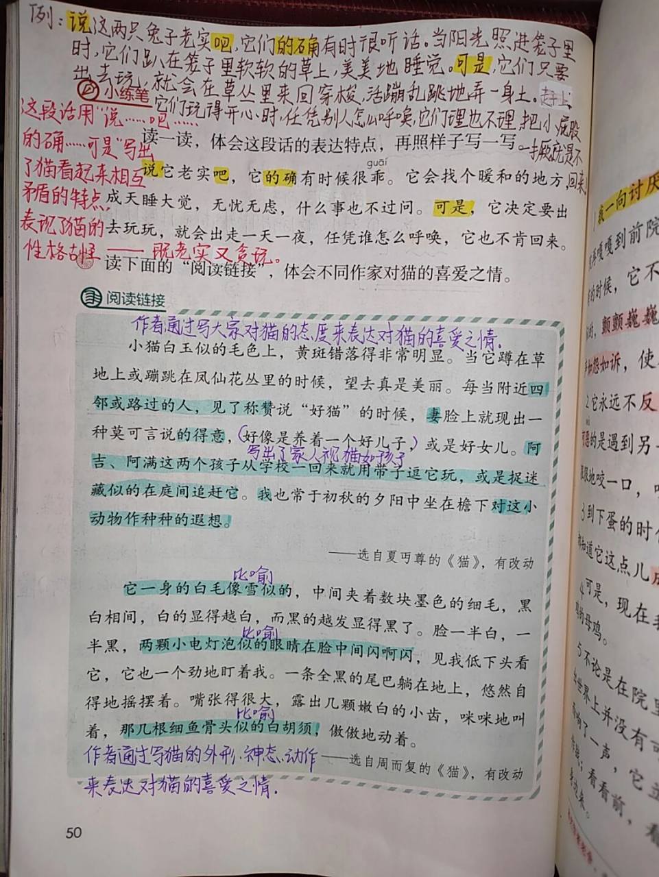 四年级下册语文第13课《猫》课文笔记 #教师备课# #四年级下册语文
