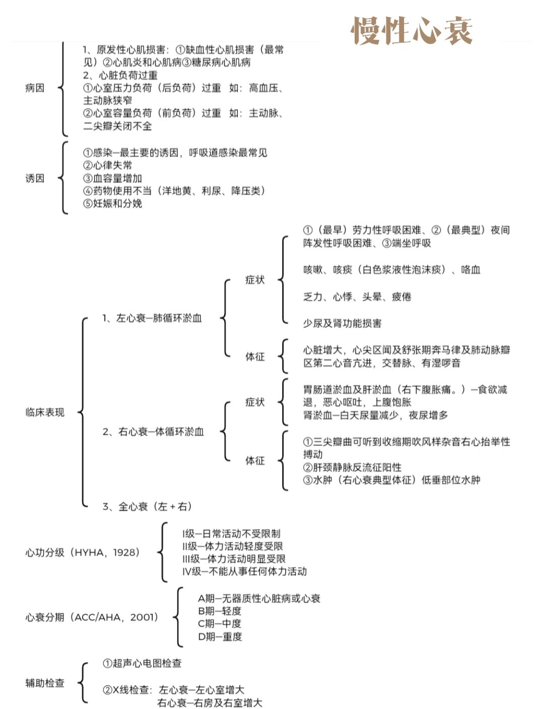 八大循环系统思维导图图片