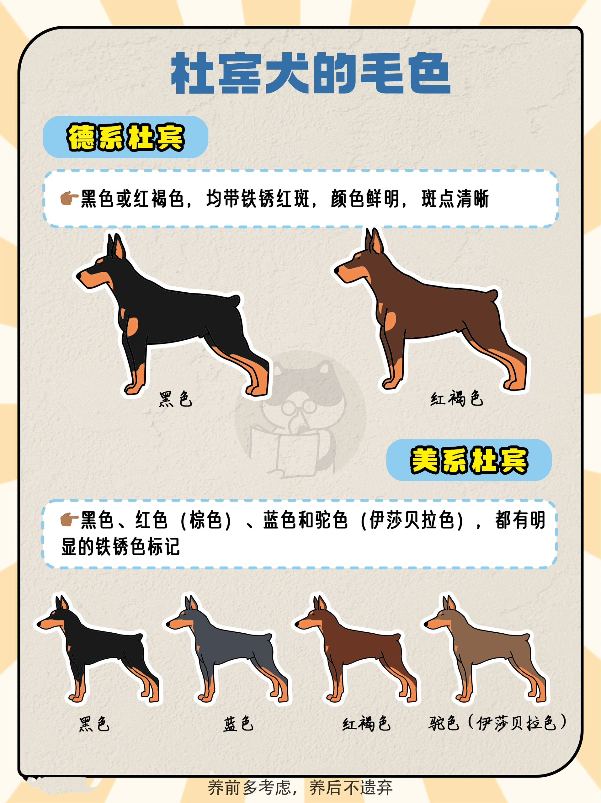 狗狗图鉴|杜宾犬,外刚内柔的霸道总裁