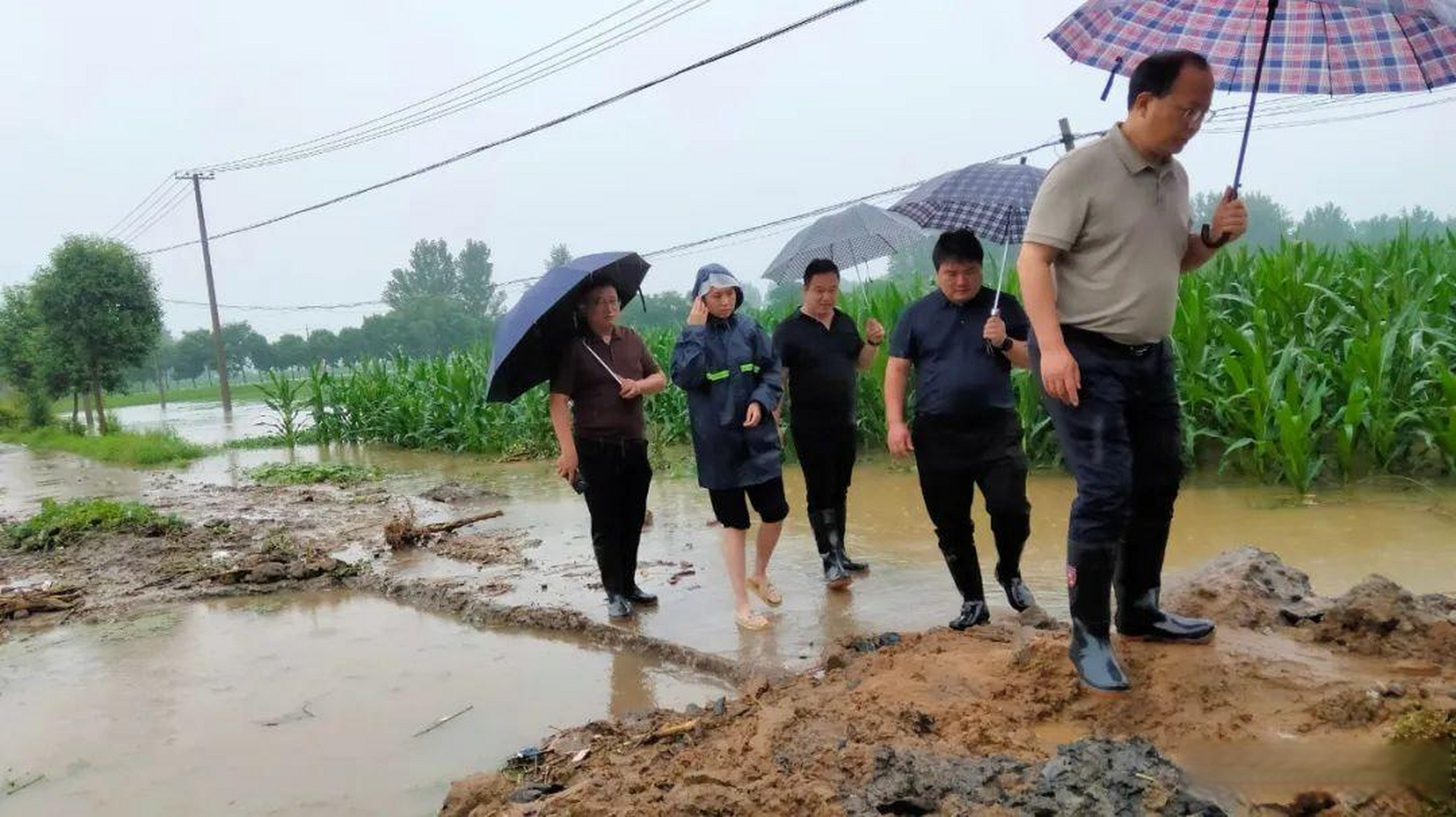 南阳卧龙杜勇事件图片