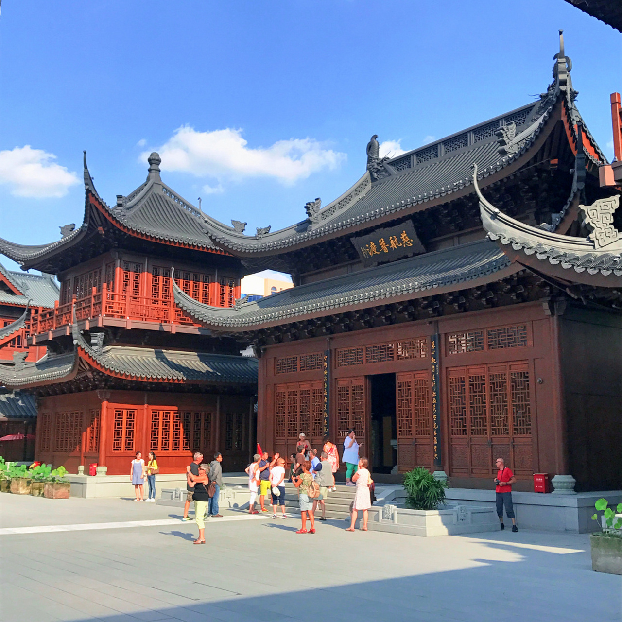 上海旅行|玉佛禅寺0599 期盼许久的玉佛寺,我终于来啦!