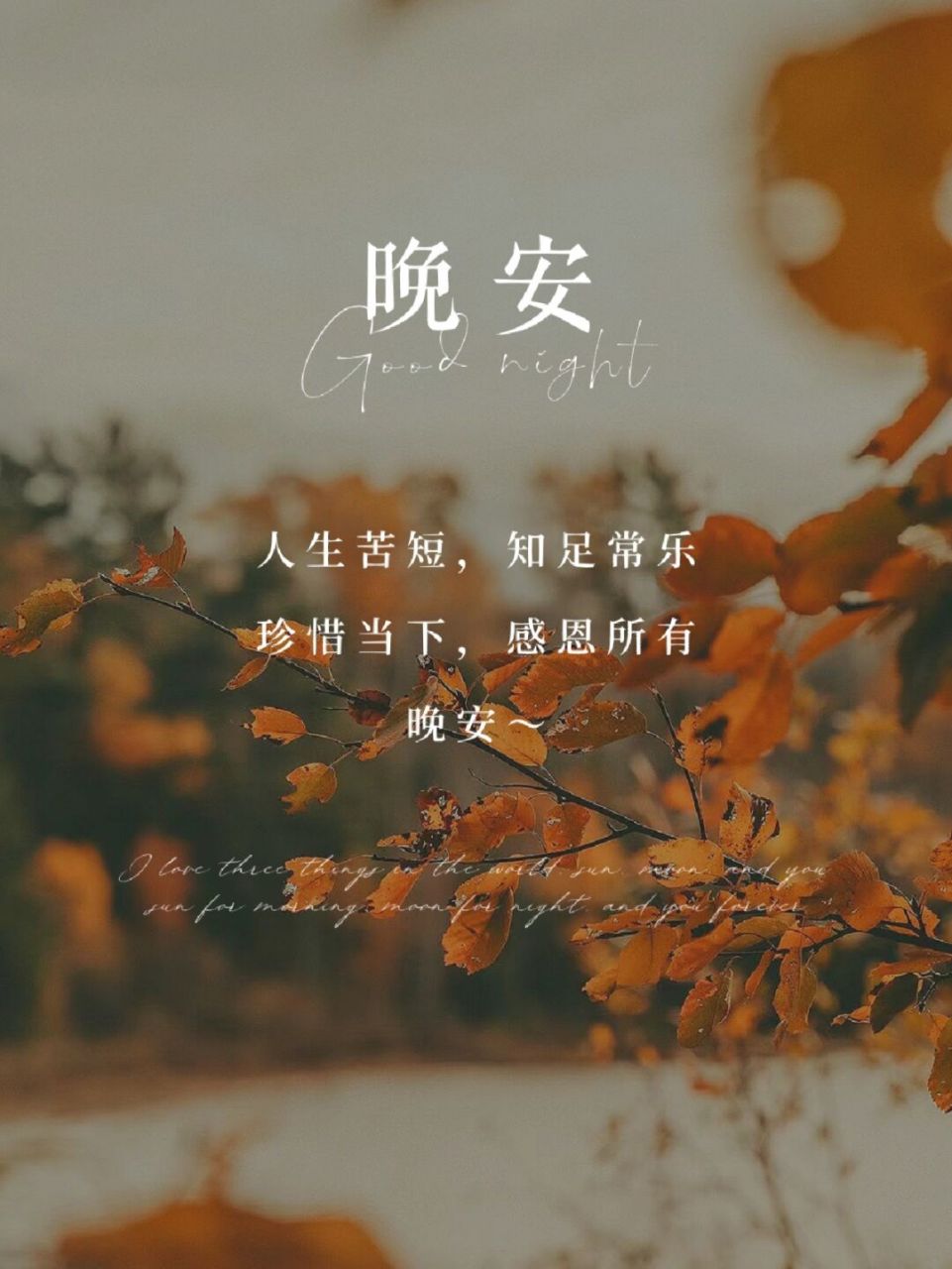 朋友圈治愈文案|晚安日签海报|朋友圈美学 #晚安好梦# —— 🌙 简