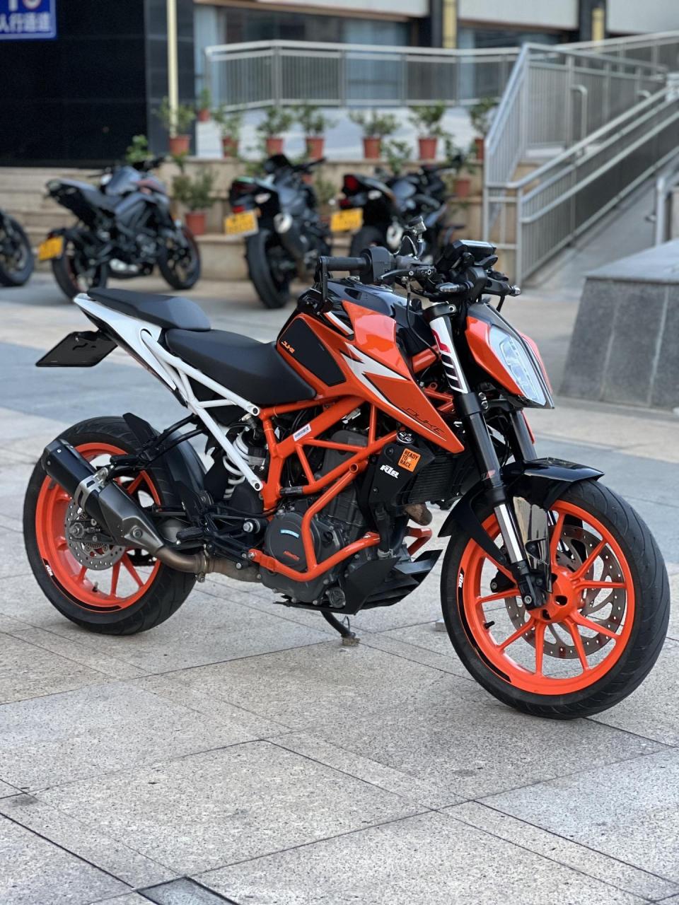 老款ktm390改前脸图片