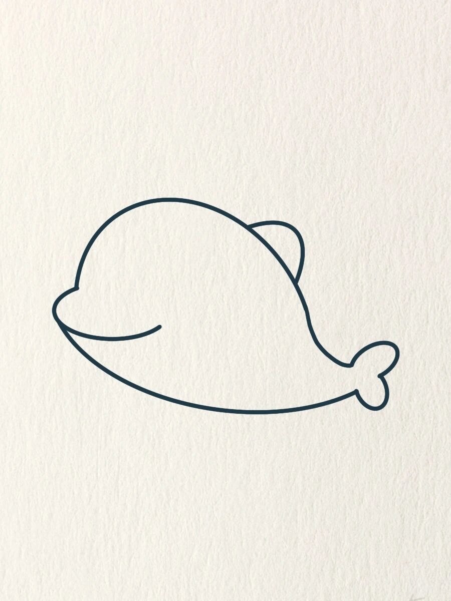 简笔画教程|可爱小海豚