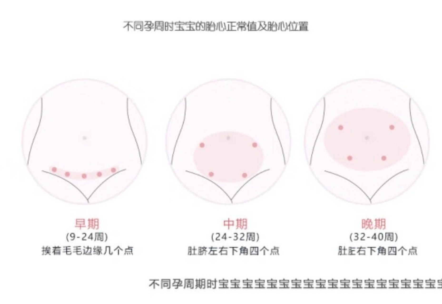 孕13周胎儿胎心位置图图片