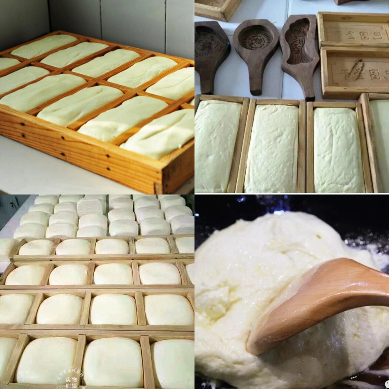 那么今天我们就来扒一扒,蒙古奶豆腐真的那么难吃吗 16615什么是