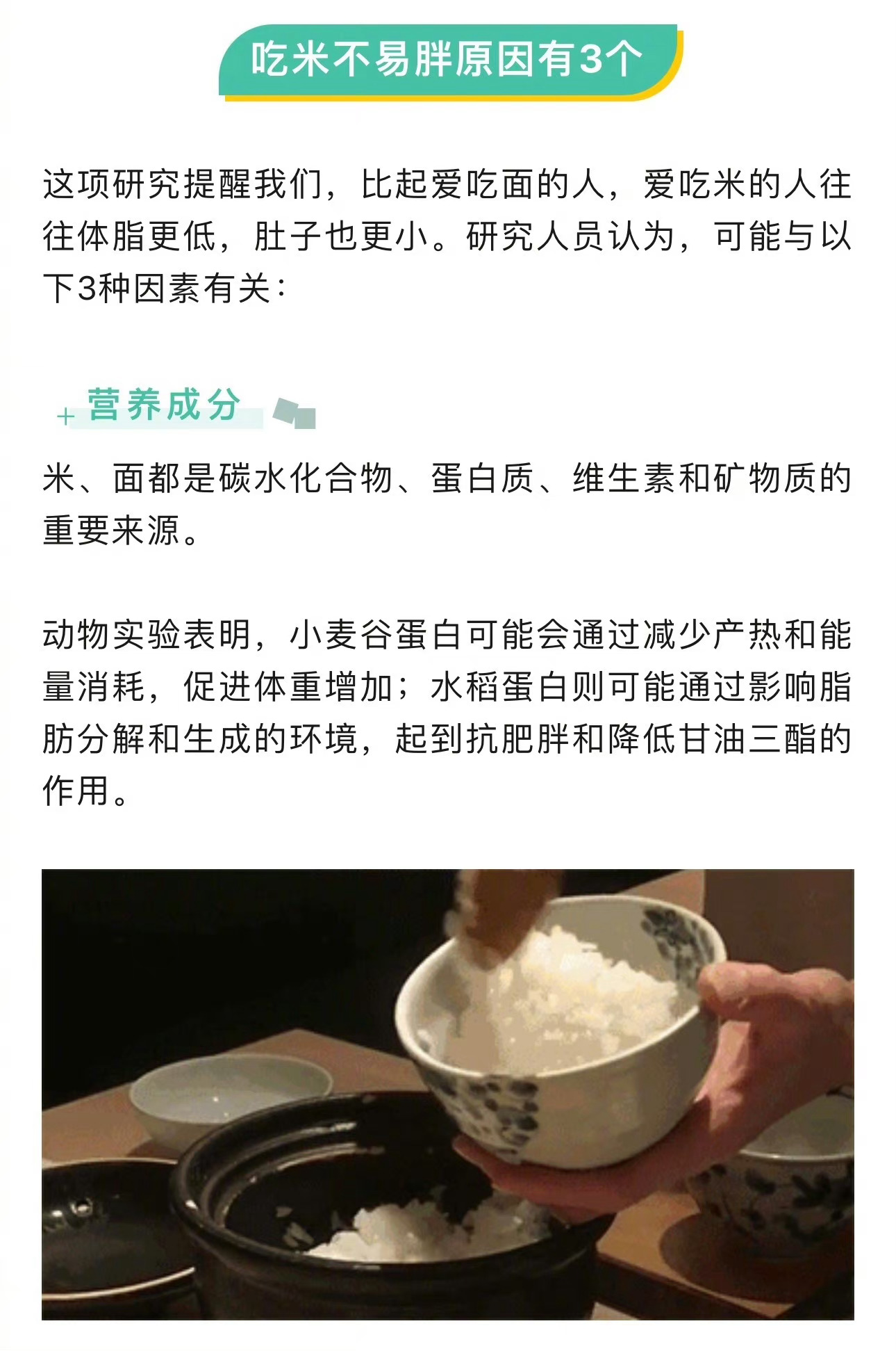 为什么吃米饭会胖
