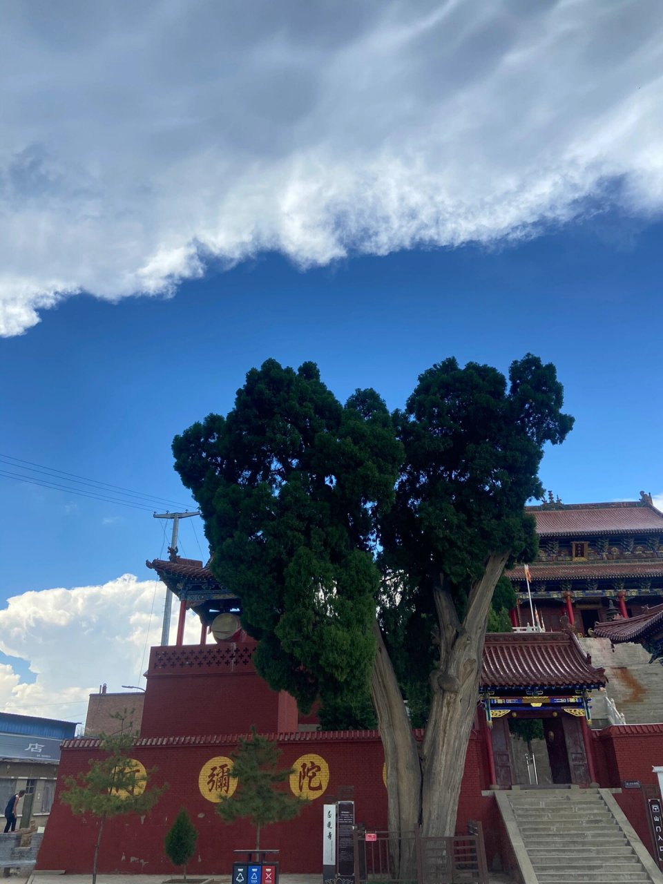 临县半日游 正觉寺十二连城 带家人附近转转 空气清新 千年古柏巍然