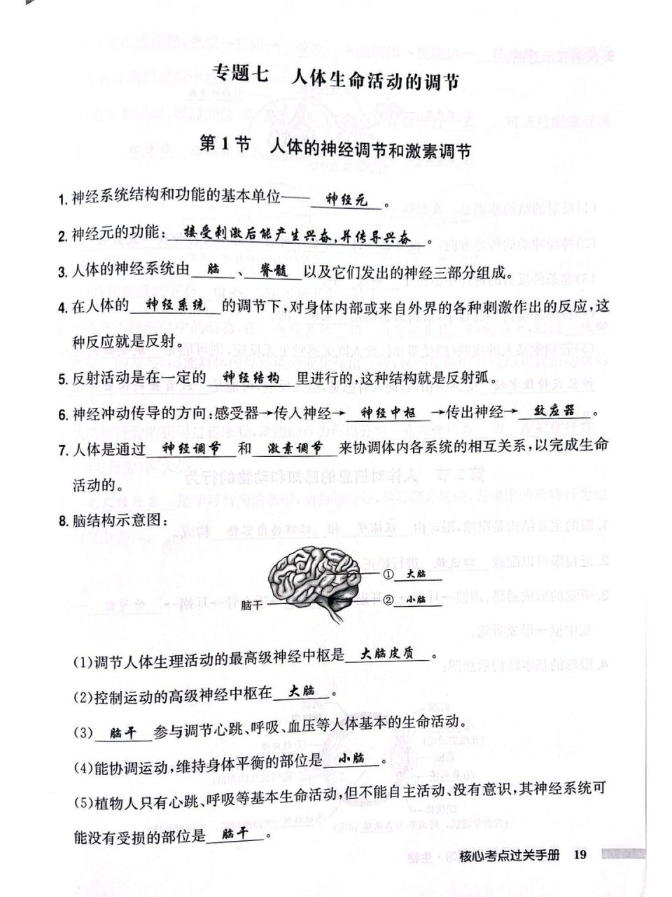 苏科版生物专题七《人体生命活动的调节》复习 苏科版生物专题七
