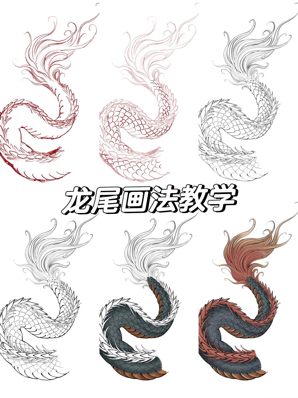 龙尾画法教学 有想学习的7715 #绘画教程# #一起学画画# #龙画法