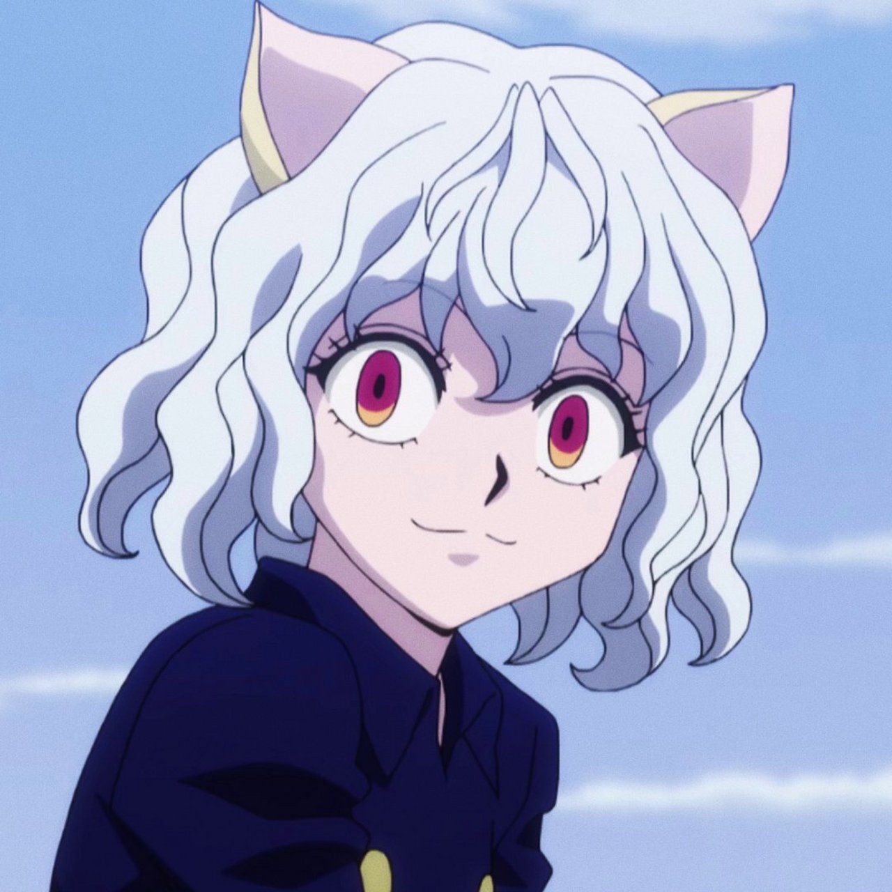 发一波尼飞彼多头像