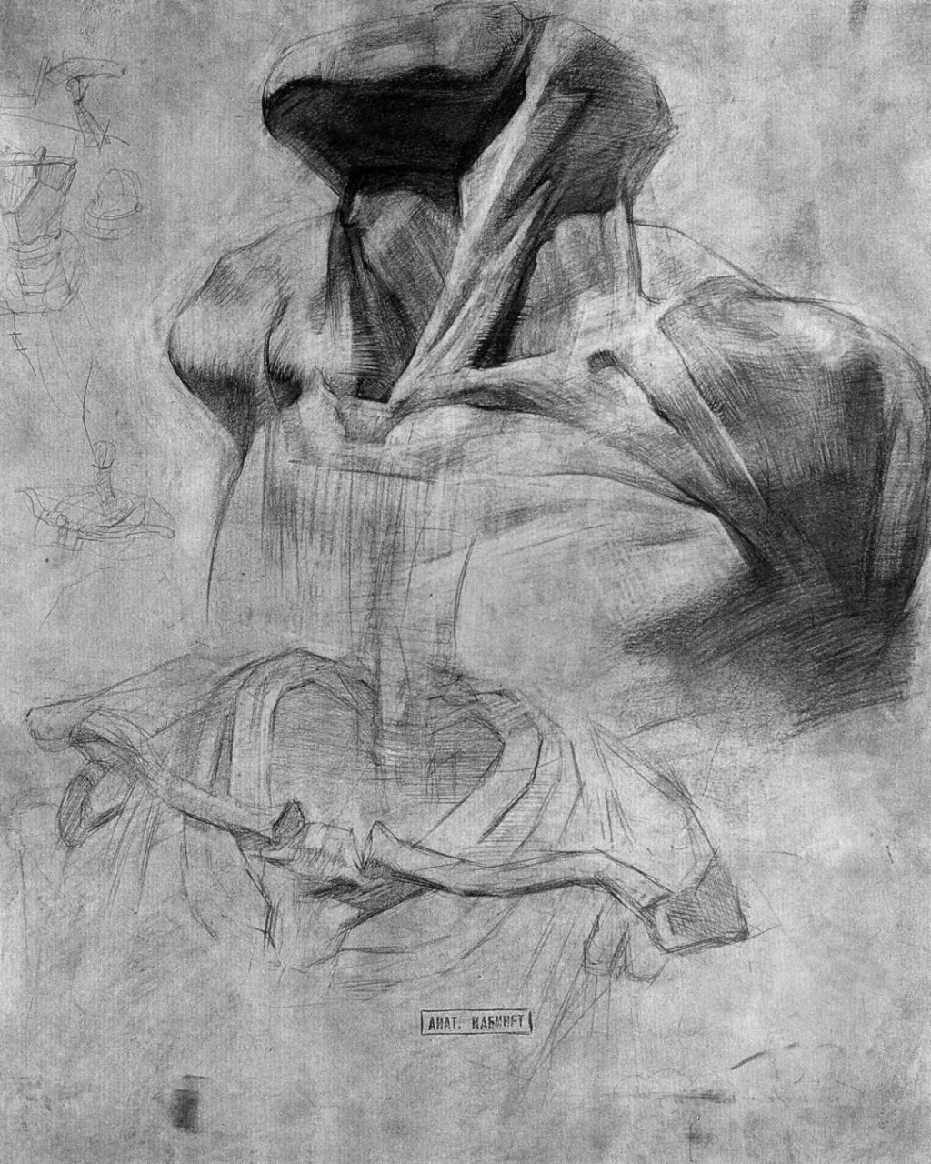 素描人物学习素材 颈部肌肉结构解剖