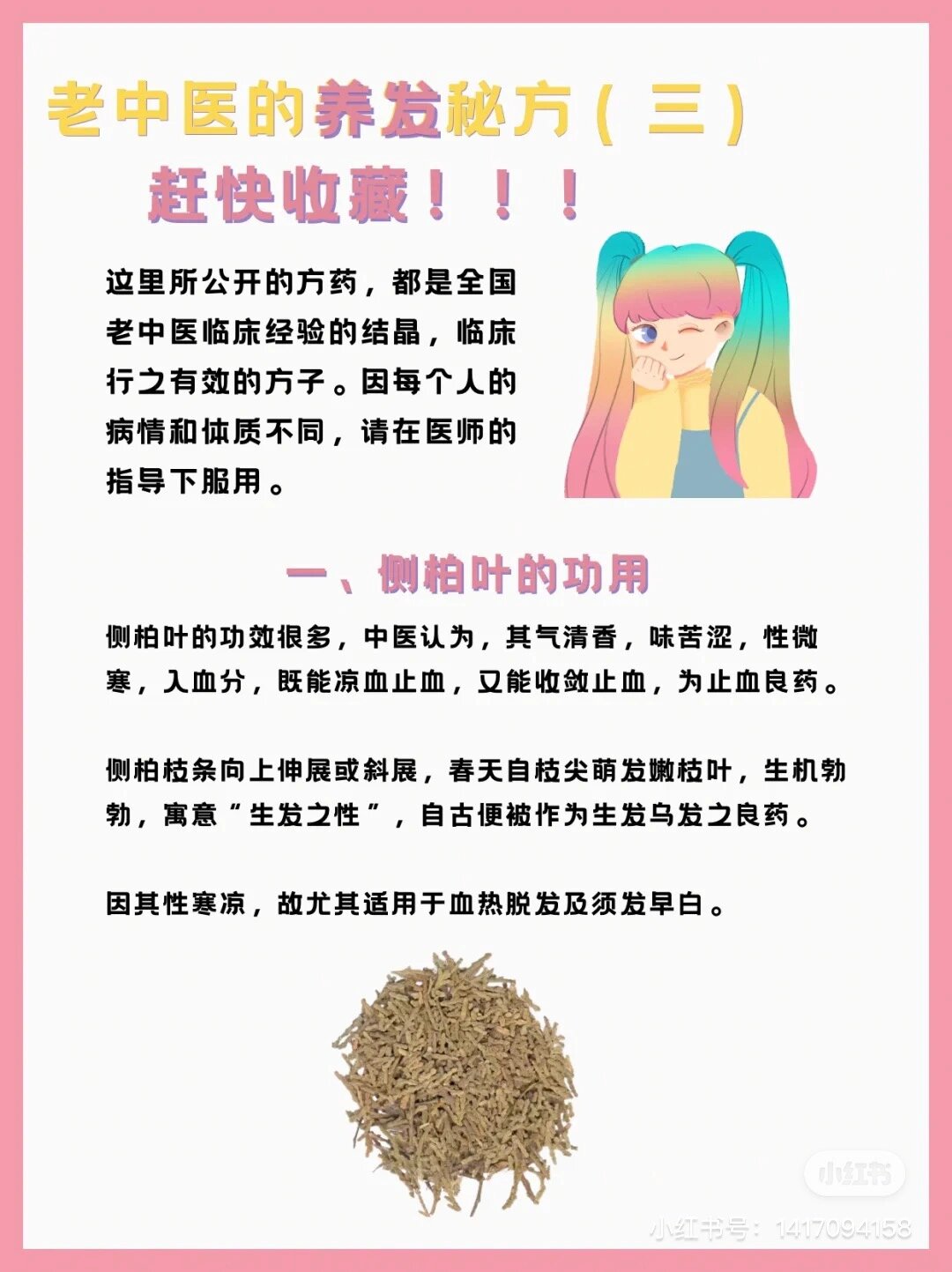 侧柏叶治头发图片