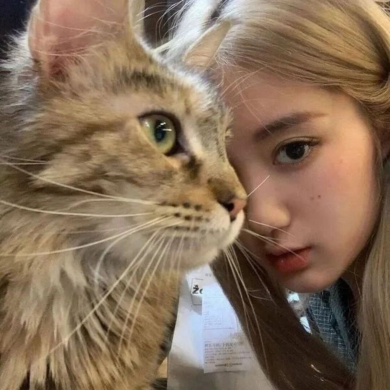 淑女文雅女生头像 别人稍一注意你 你就敞开心扉 你觉得这是坦率 其实