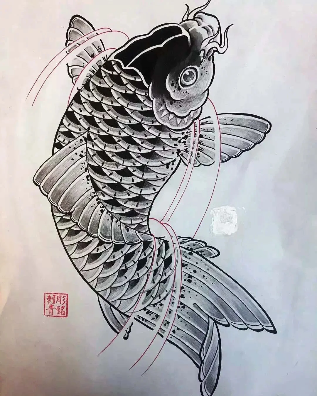 精选老传统鲤鱼手稿收藏合集分享