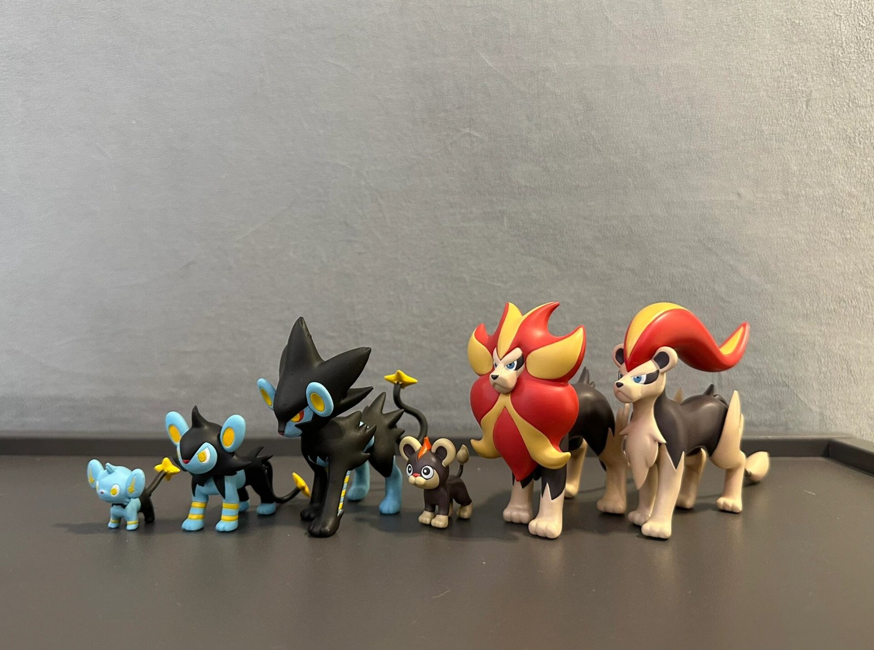 大木博士的宝可梦讲堂 小猫怪进化组 小猫怪 0.5米 勒克猫 0.