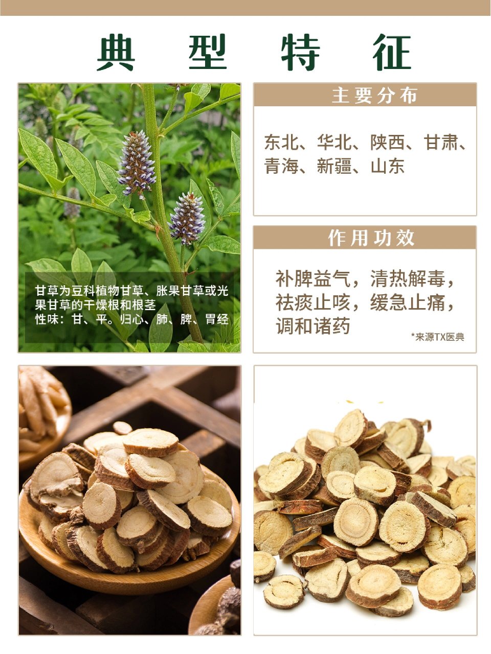 每天认识一味中草药73甘草 甘草为豆科植物甘草,胀果甘草或光果甘草