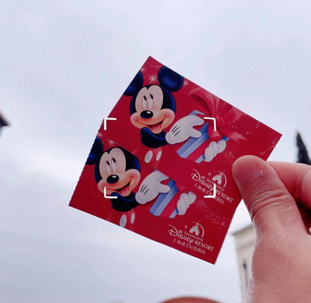 迪士尼红色门票 不懂就问红色门票是什么呀 为什么我的门票都是蓝色的