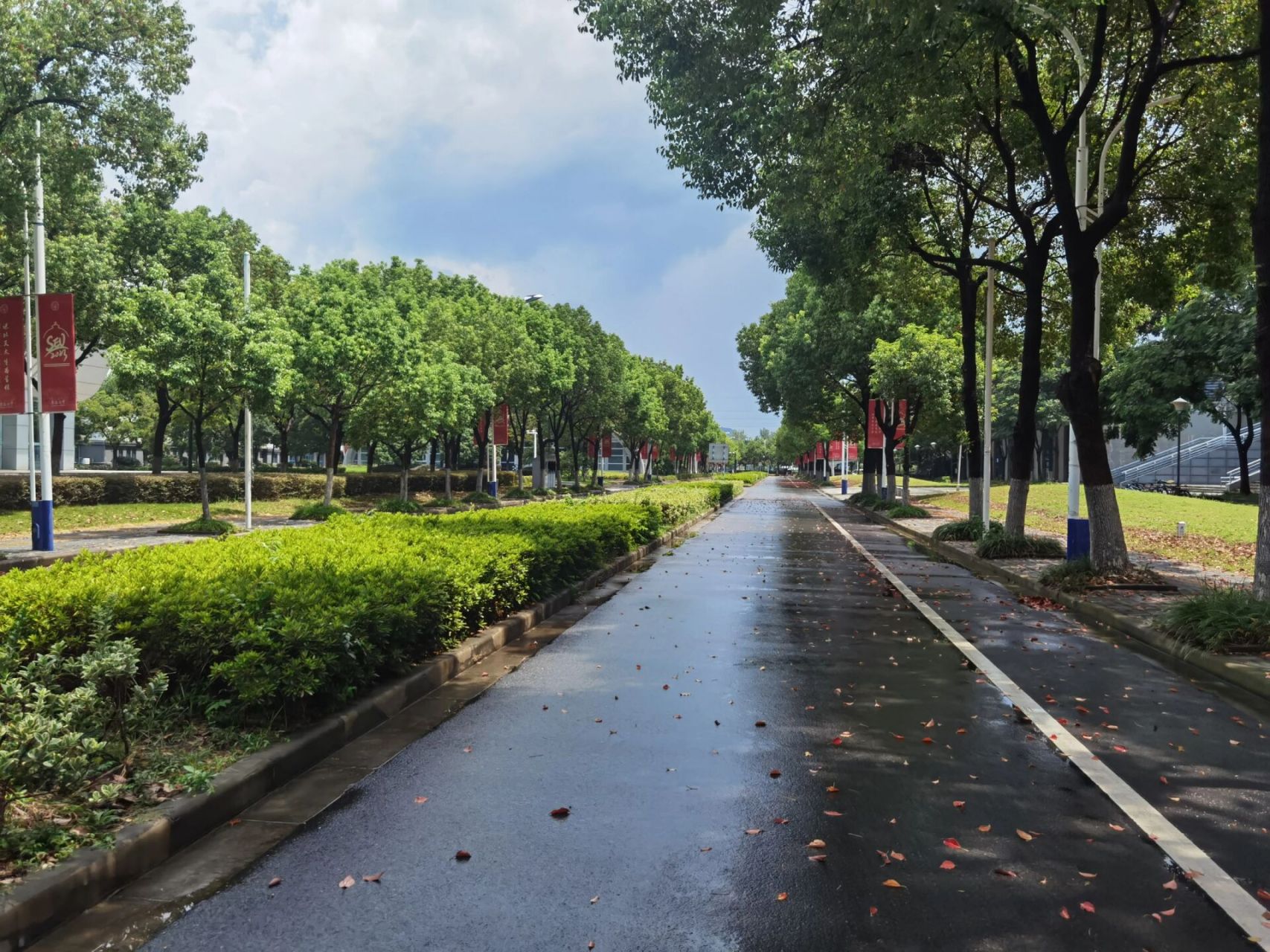 东南大学 九龙湖校区真的好大!风景也好漂亮!希望再见