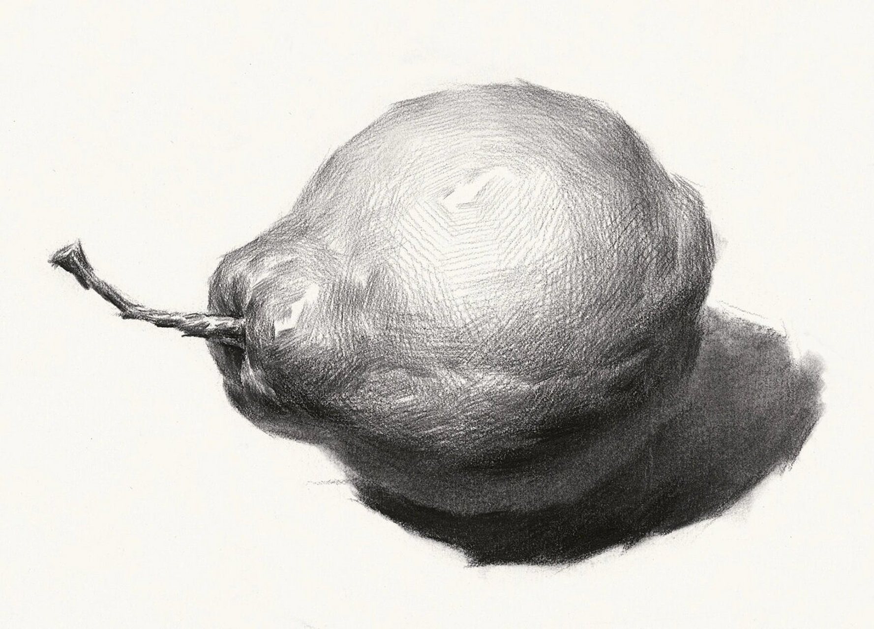 素描基础干货教学(梨) 梨子与苹果一样,也是静物考试中常见的题材.