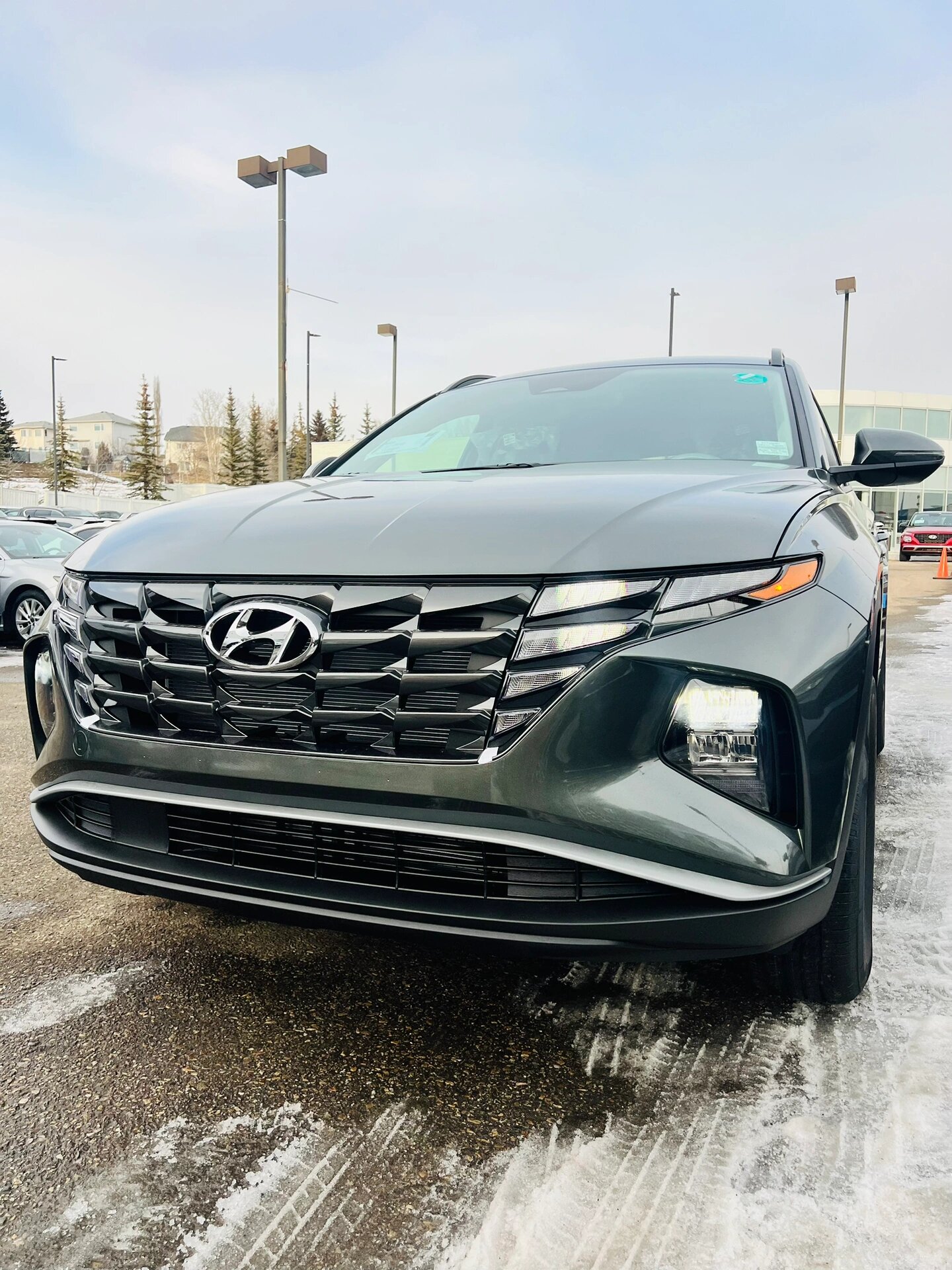 现代最受欢迎的车型—9896途胜2024 卡尔加里买车选择—2024 现代