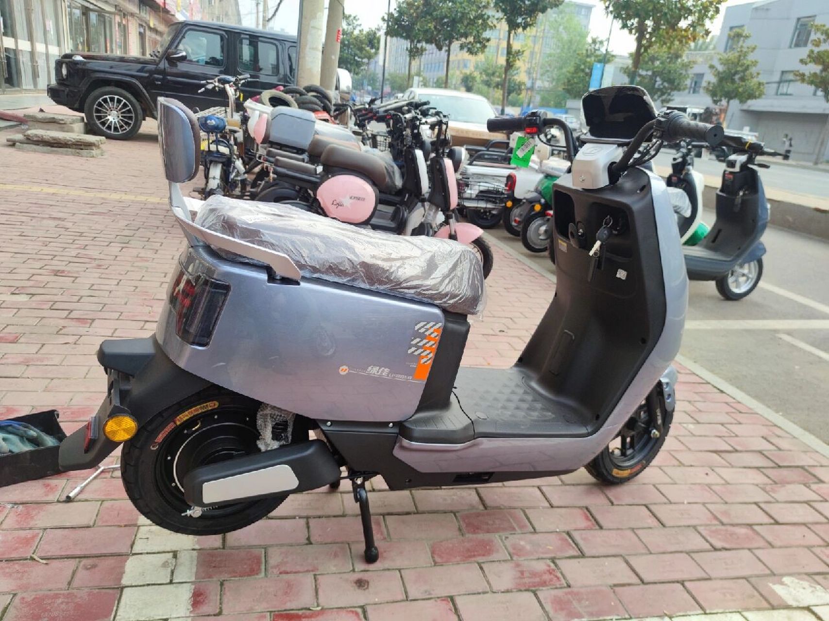 绿佳电动车,更实惠的电动车!