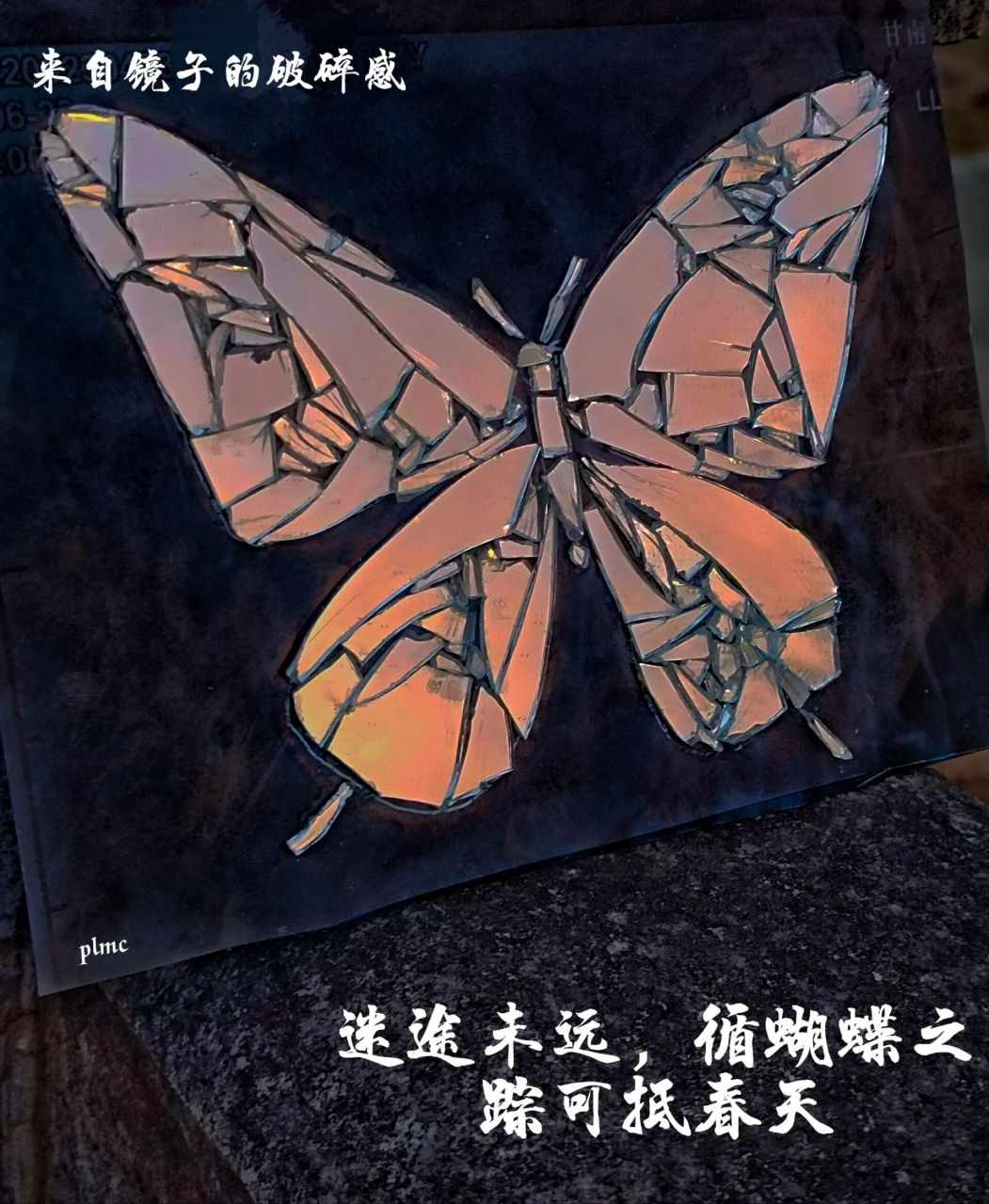 带着破碎感的蝴蝶03 迷途未远,循蝴蝶之踪可抵春天.