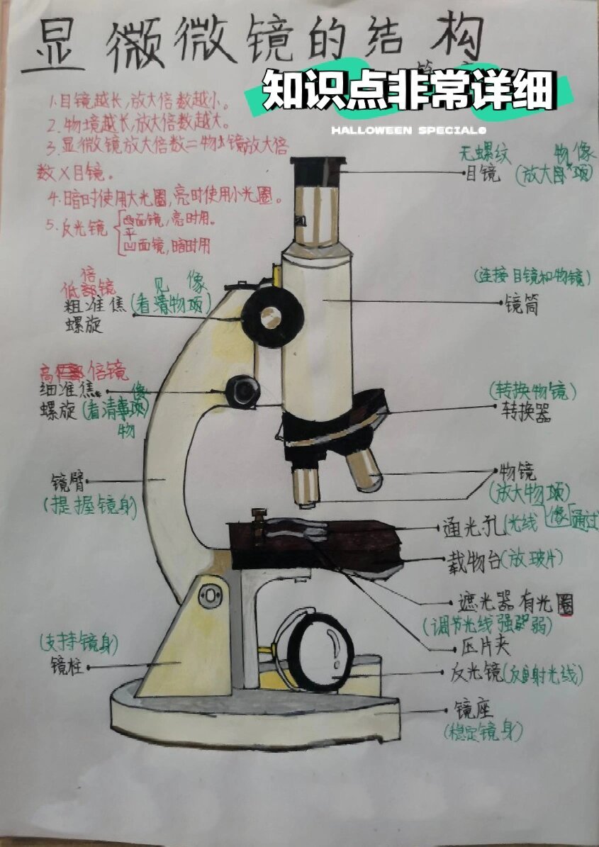 《显微镜的使用》——思维导图