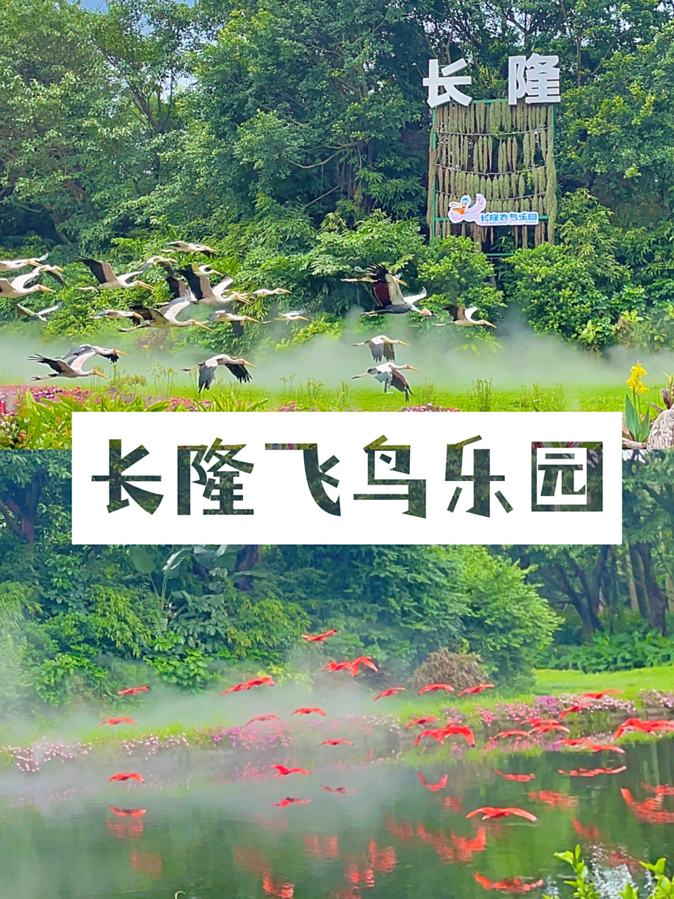 一人带娃游乐园,半天足够了6015 长隆飞鸟乐园值得去吗71不来可