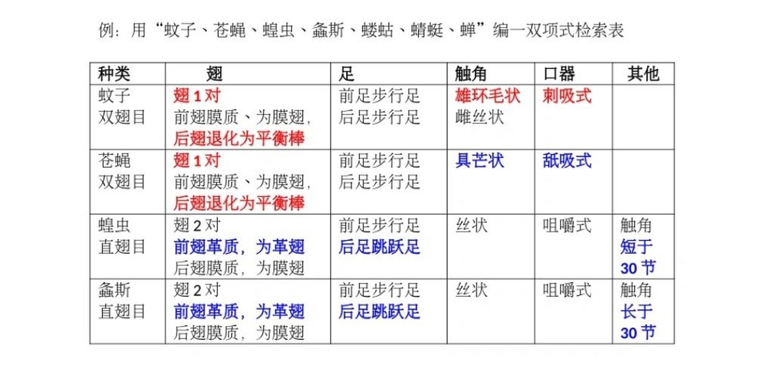 昆蟲分類檢索表 這是例子 有 , ,,,, , 敢相信,老師讓我們自己製作的